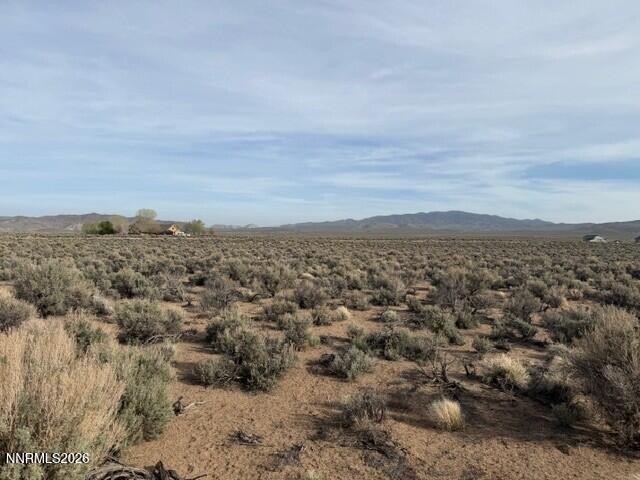 Picture 14