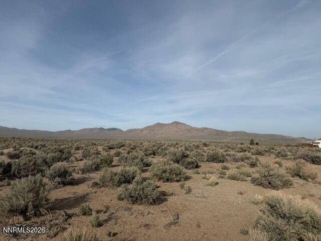 Picture 13