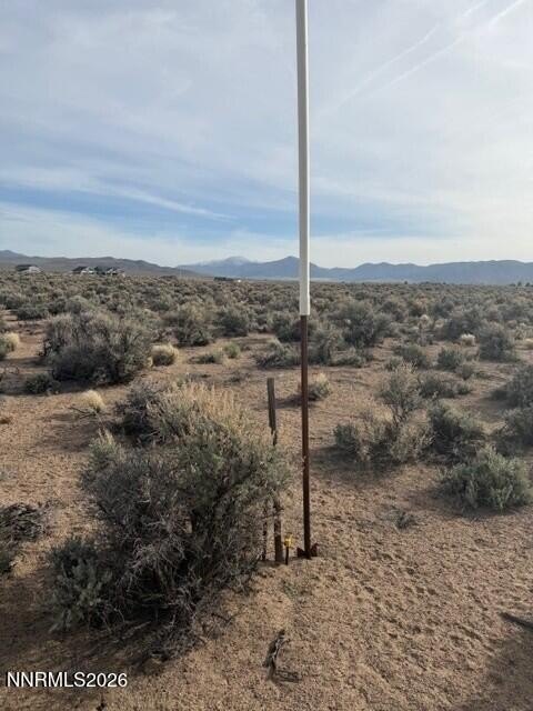 Picture 17