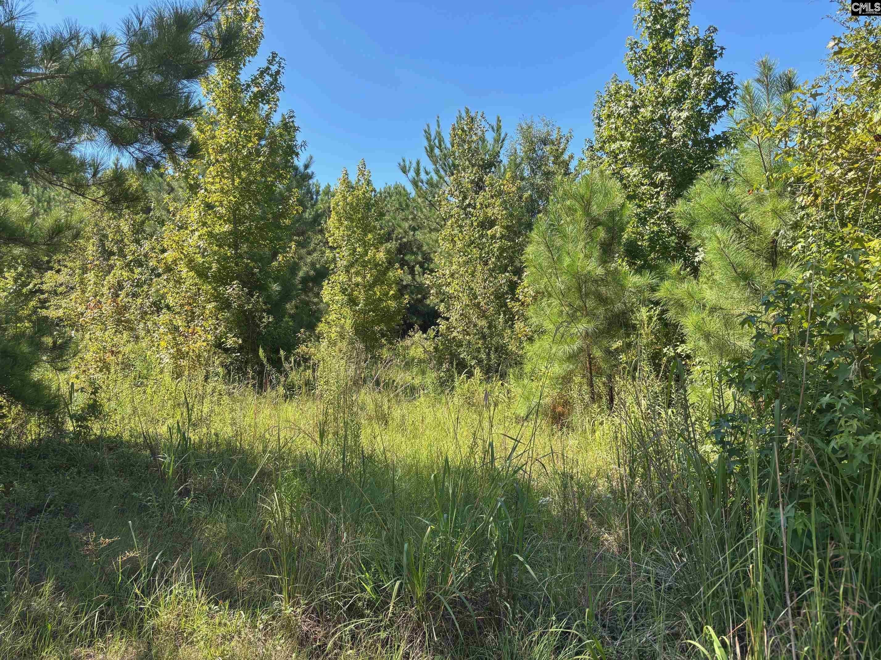 Blythewood Building Lot Opportunity