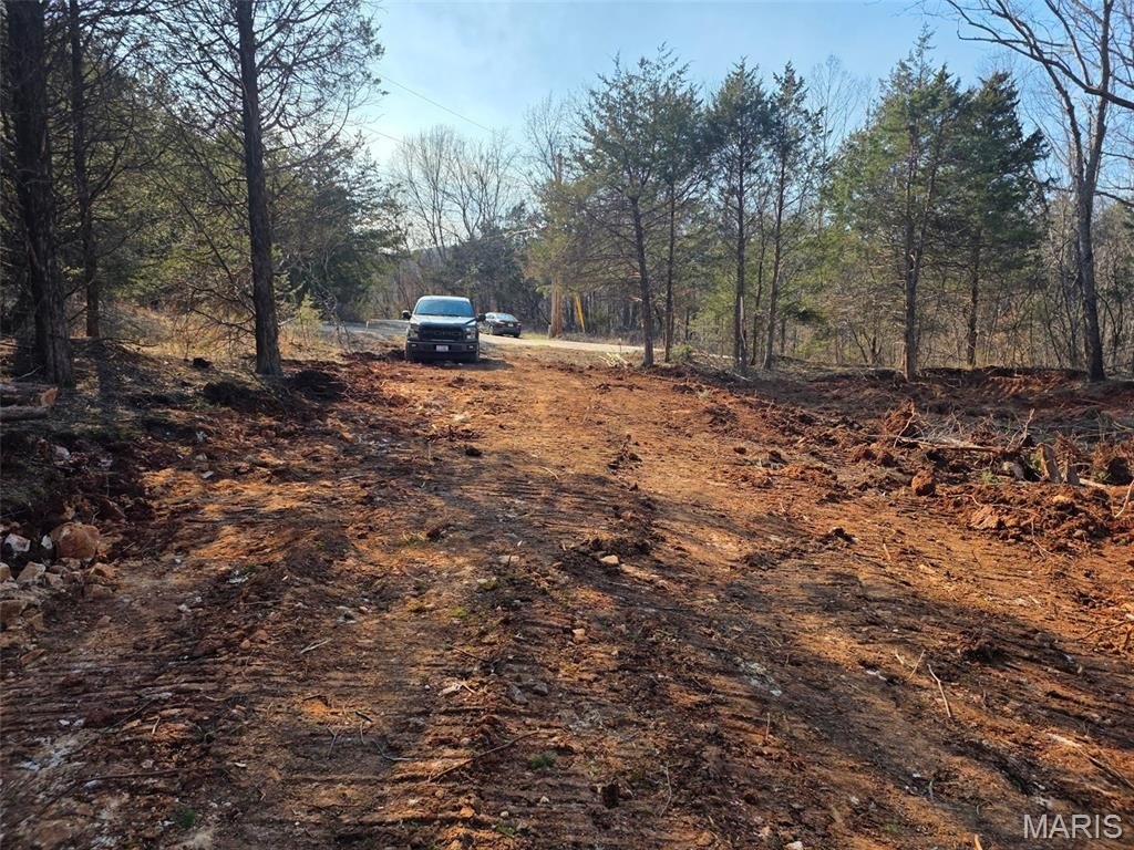 Picture 3