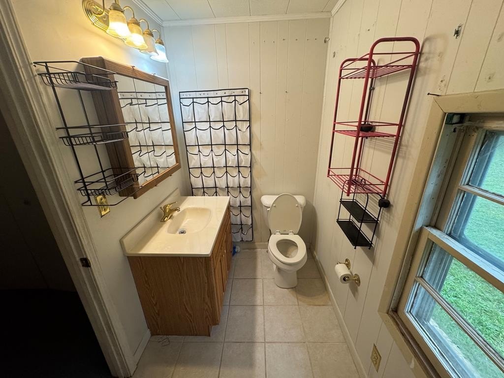 Picture 31