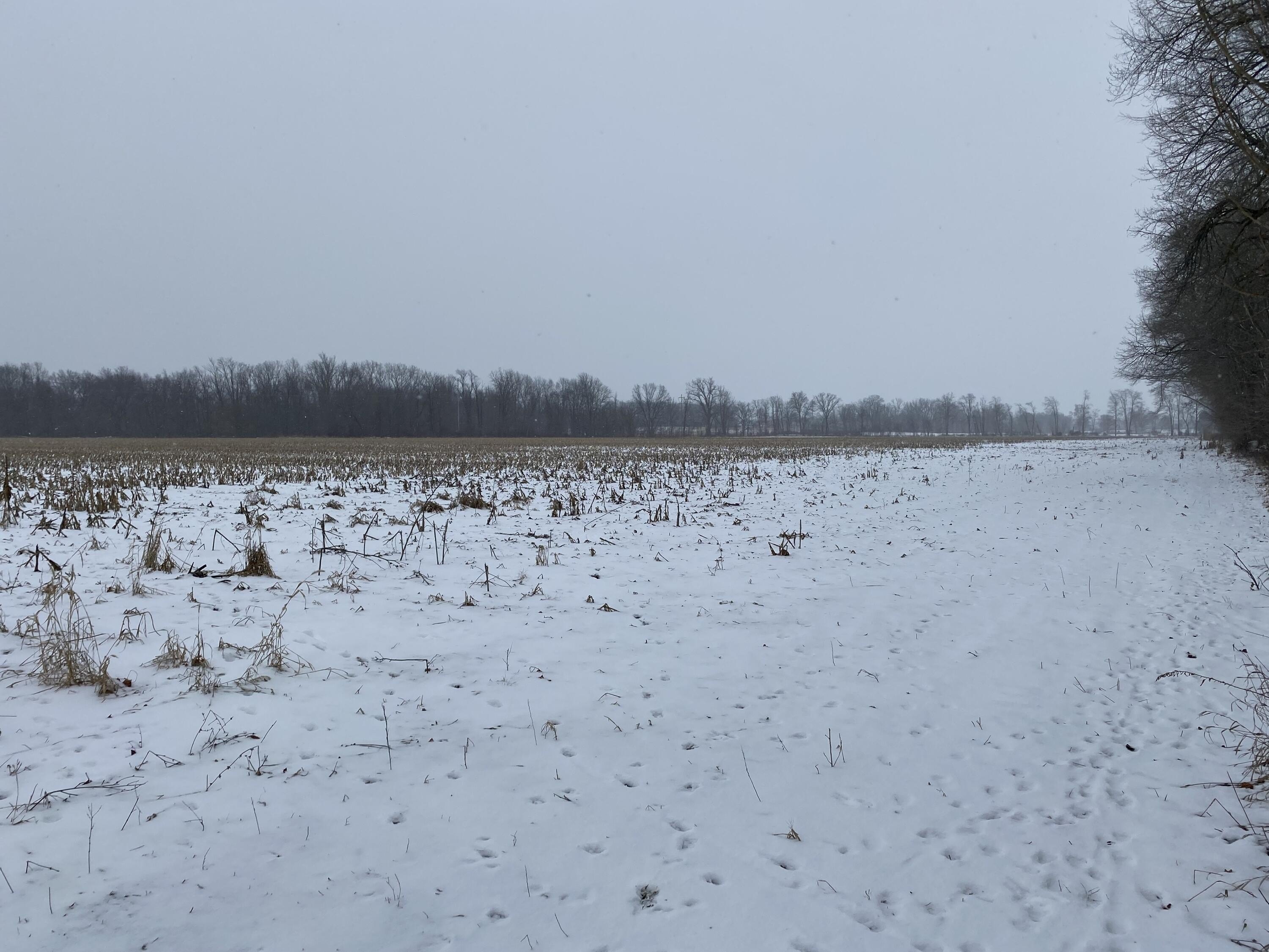 80 Acres of Farmland