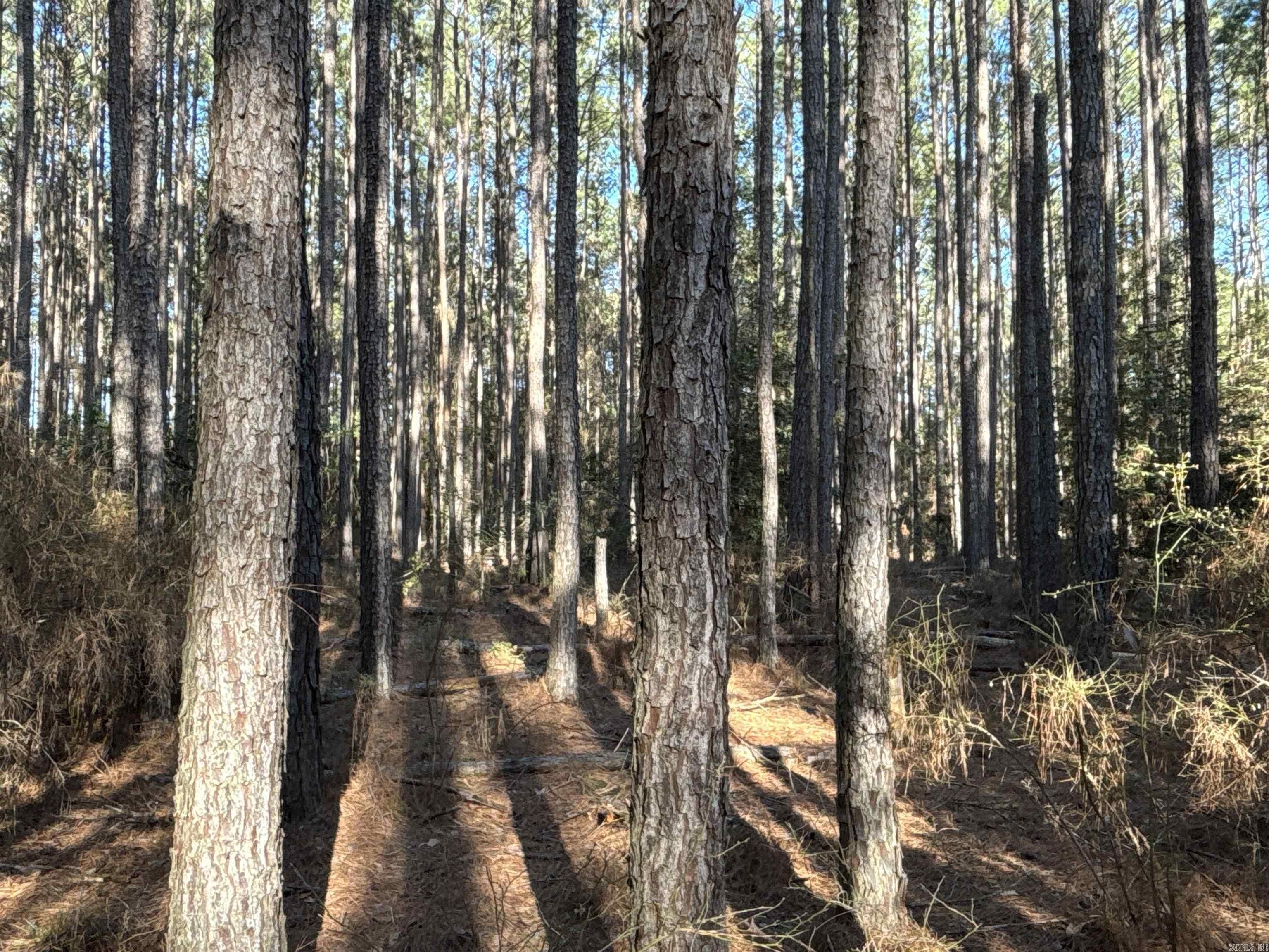 Sparkman, AR Land For Sale