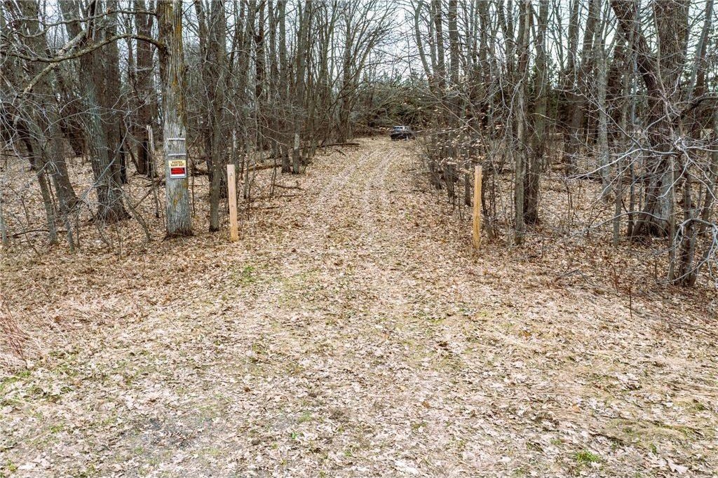 Picture 7