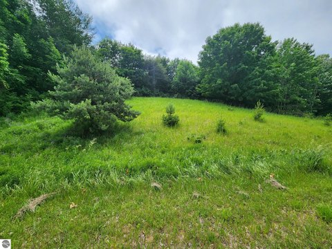 Vacant Lot/Land, Beulah, MI