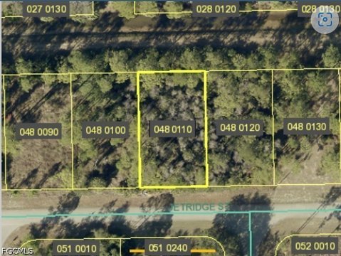 LAND - Alva, FL