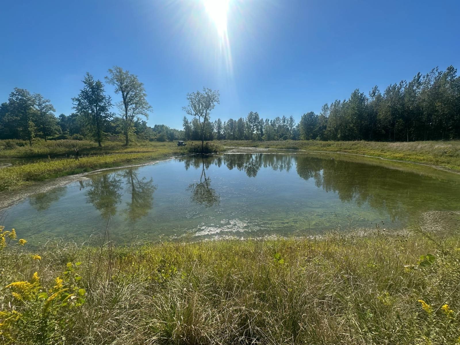 Recreational Land with Hunting Potential