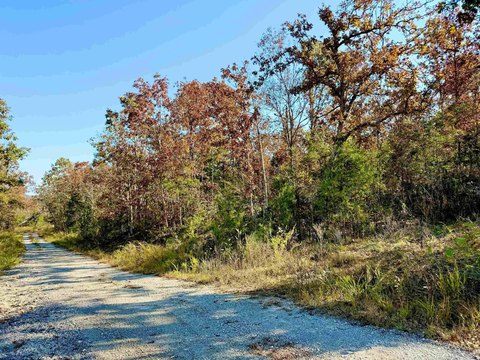 Residential Land in Mountain Home