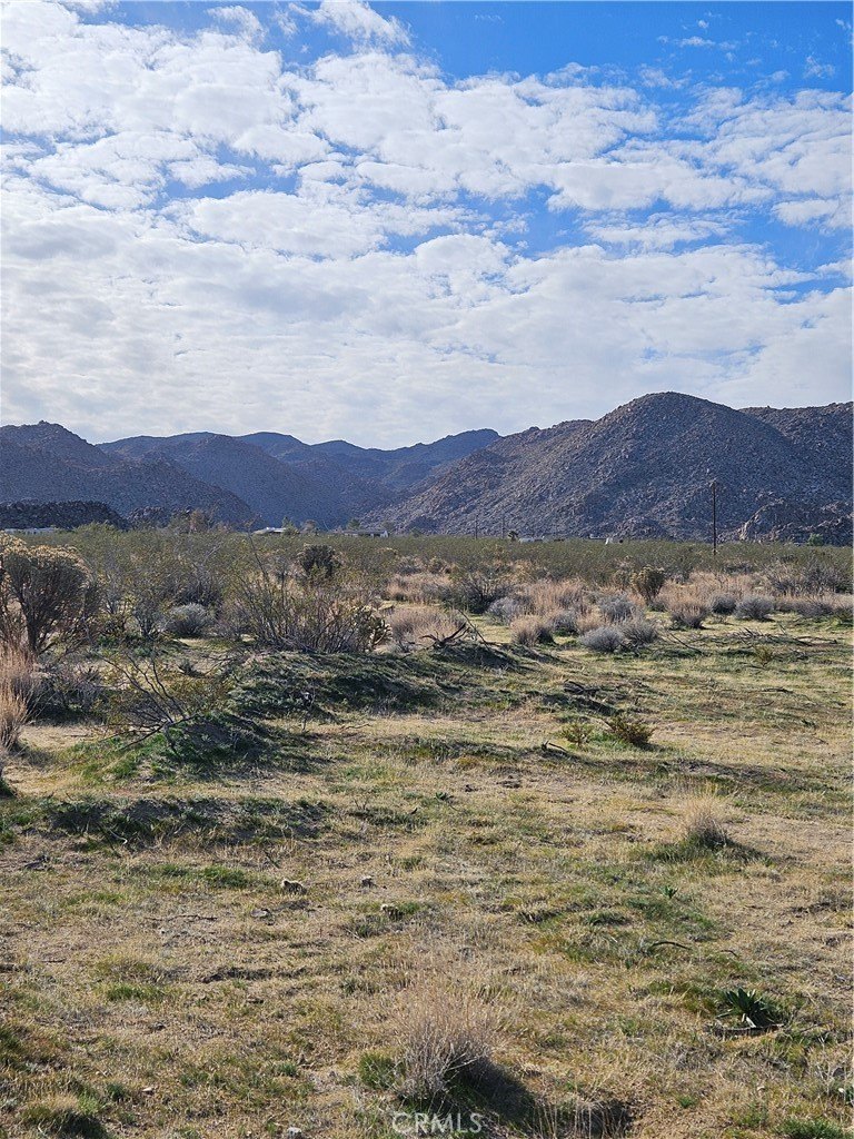 Joshua Tree Land Near Park