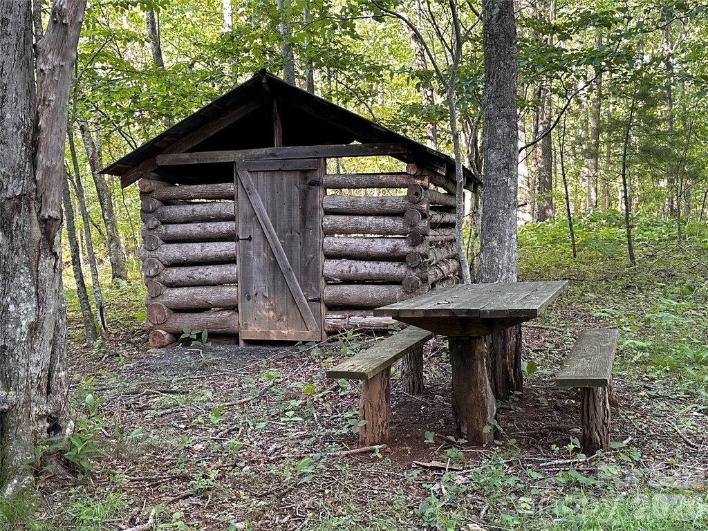 Picture 9