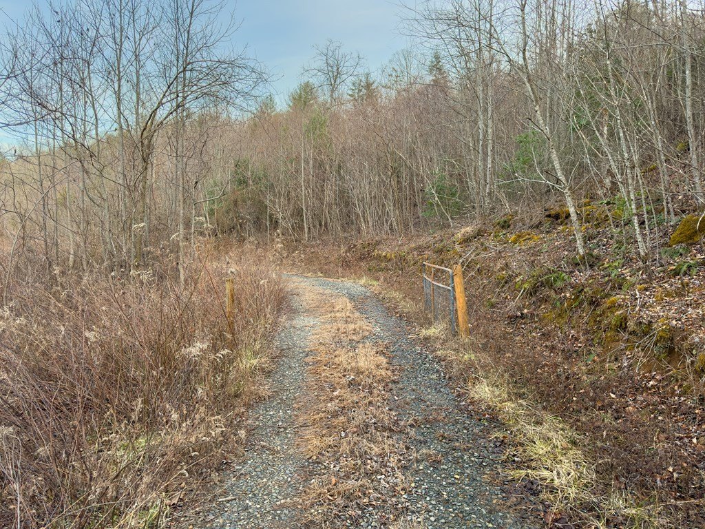 Picture 38