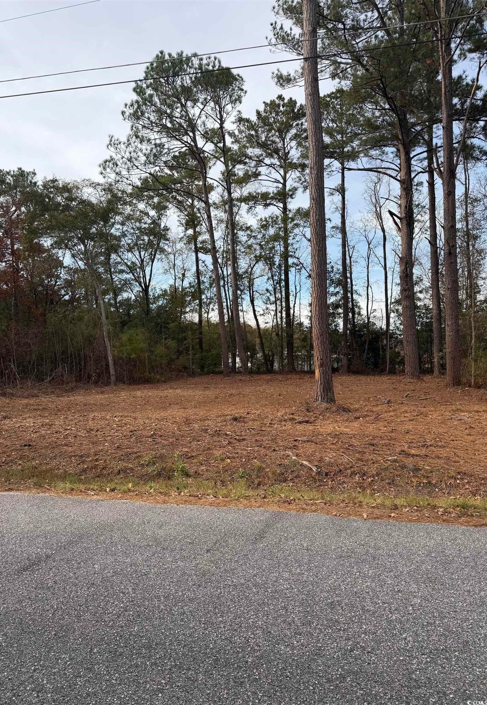 Cleared Lot in Johnsonville, SC