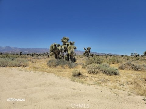 LAND - Phelan, CA