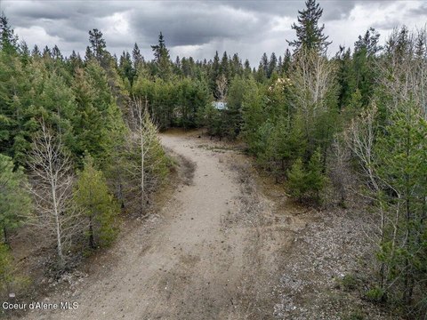 Treed Residential Land Parcel