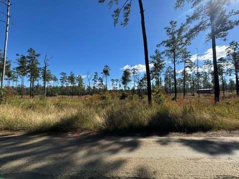 Waterfront Lot in Brookeland, TX