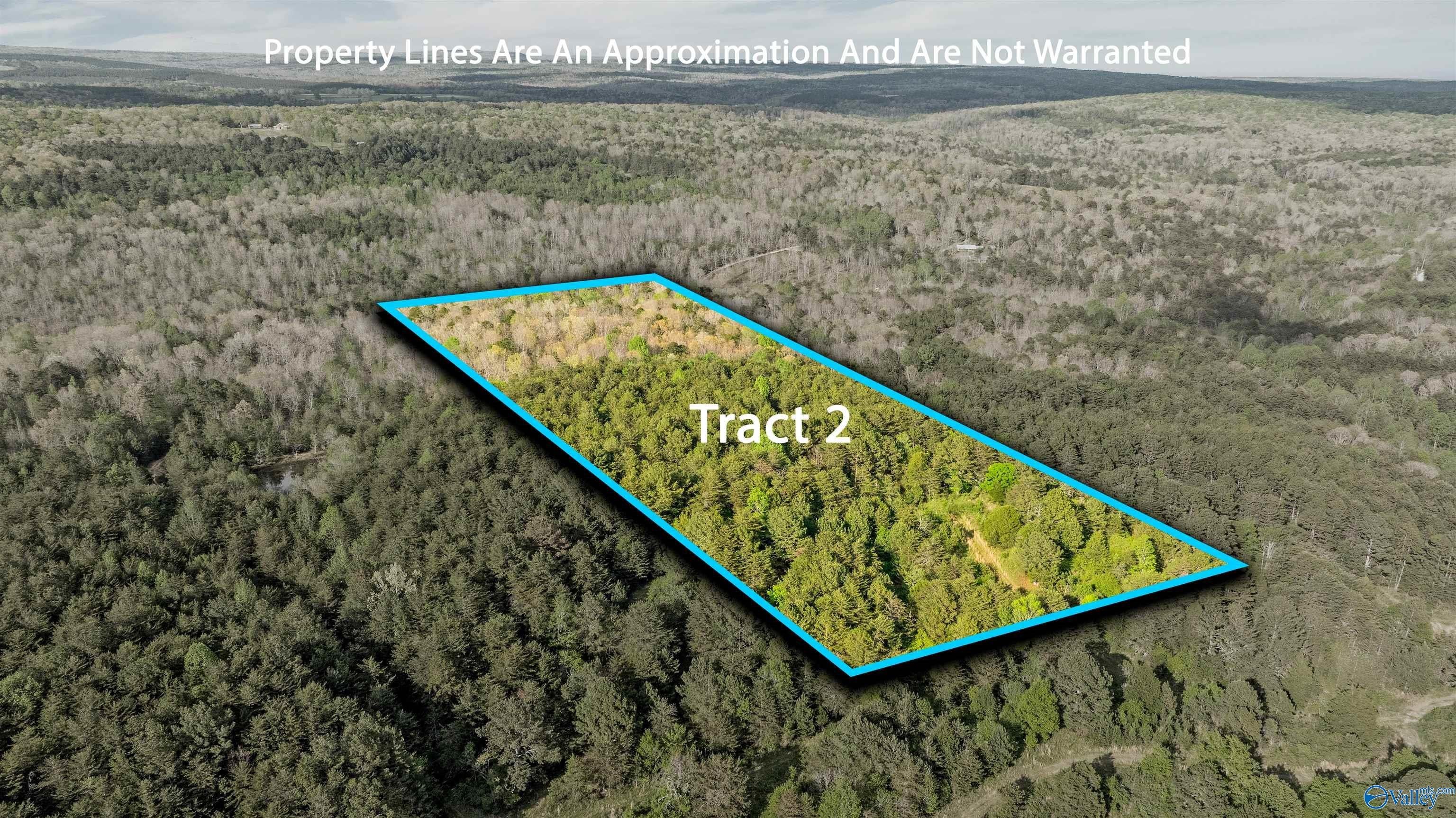 Unrestricted Land in Mentone, AL