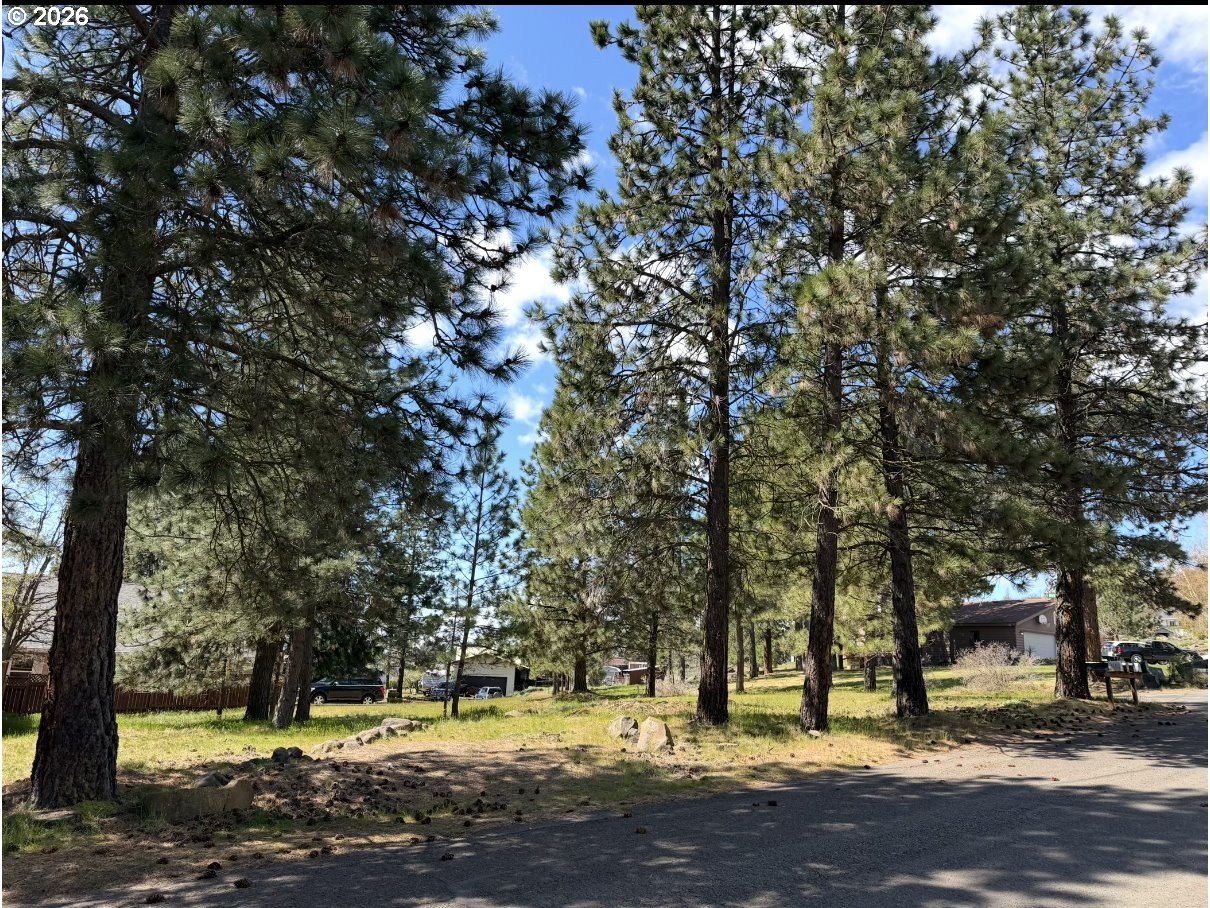 Residential Land in Desirable Neighborhood