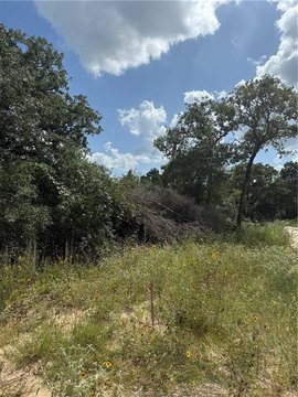 LAND - Caldwell, TX