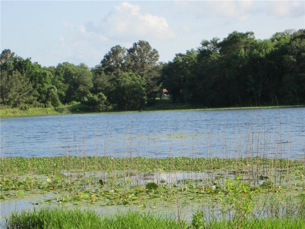 Picture 17