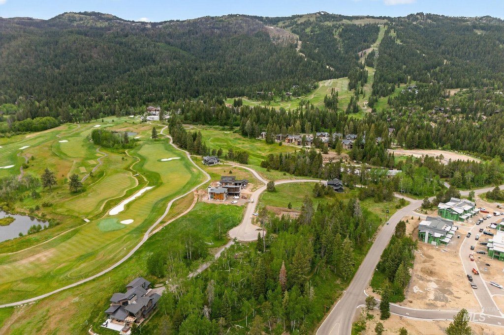 Picture 12