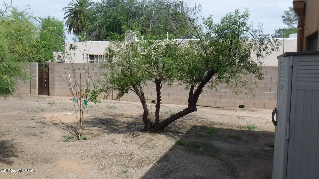 Picture 21