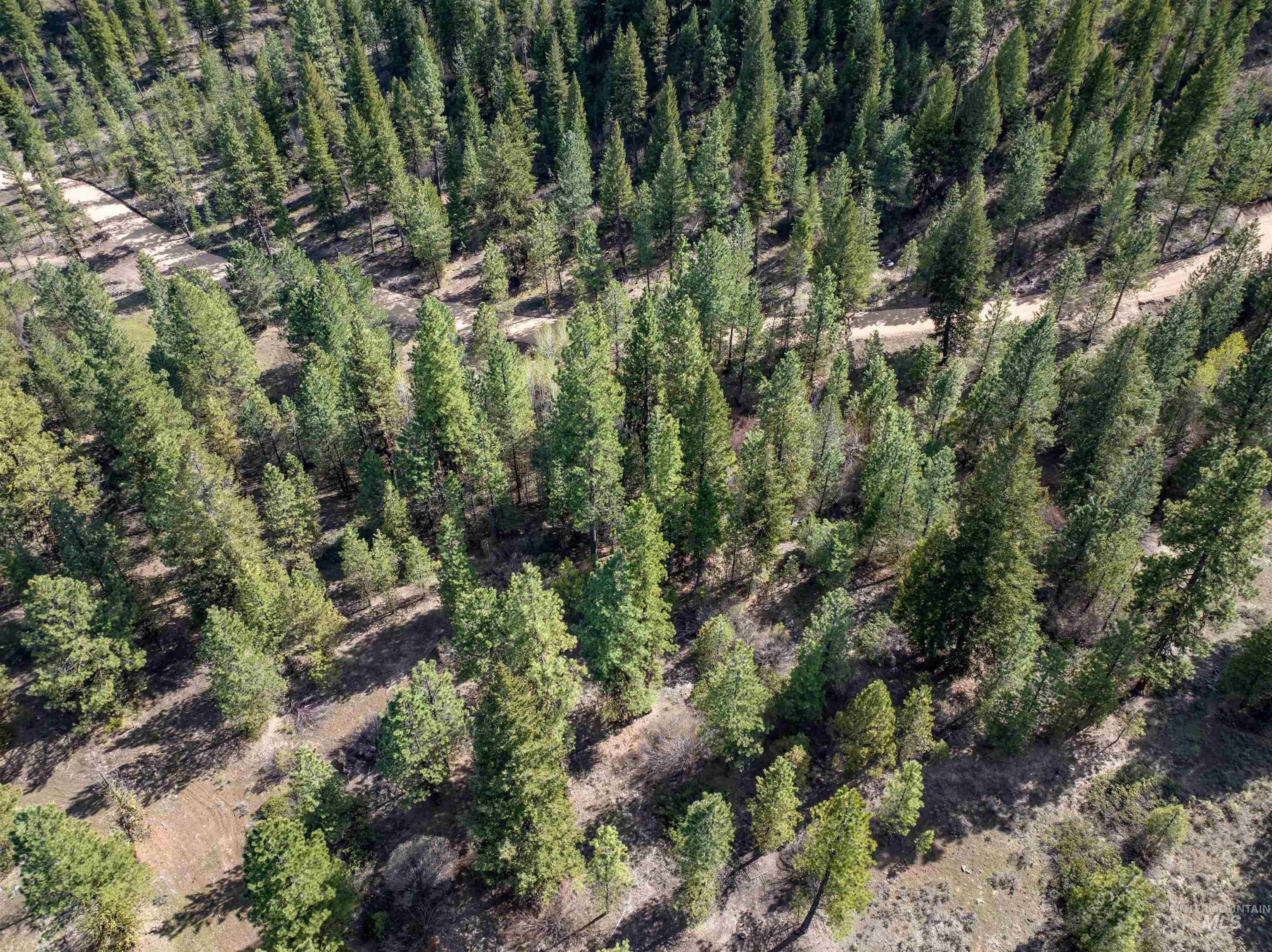 Placerville Land with Creek Frontage