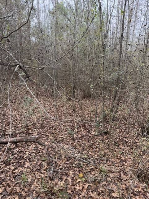 Picture 19