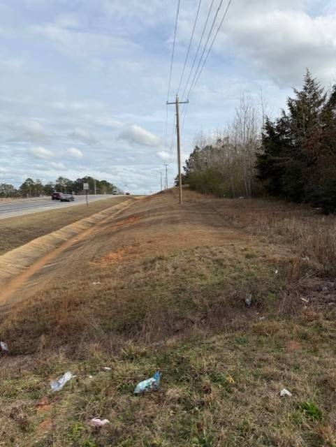 Picture 31
