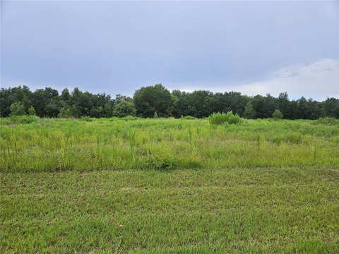 Land, ZEPHYRHILLS, FL