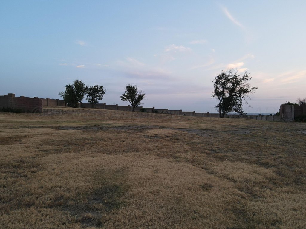 Picture 21