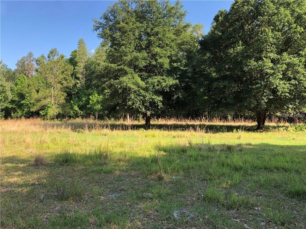 THONOTOSASSA Land Ideal Homestead
