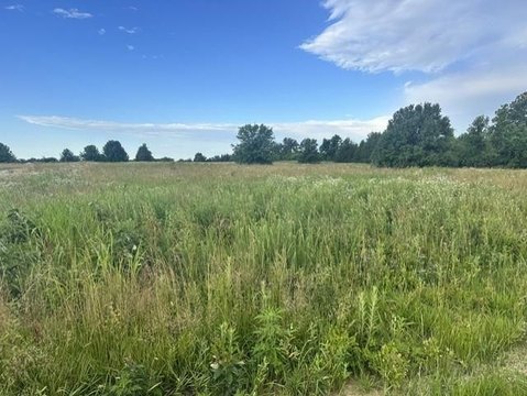 LAND - Nevada, MO