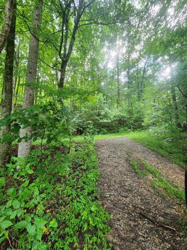 501 Acres in South Pittsburg