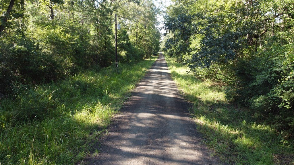Picture 3