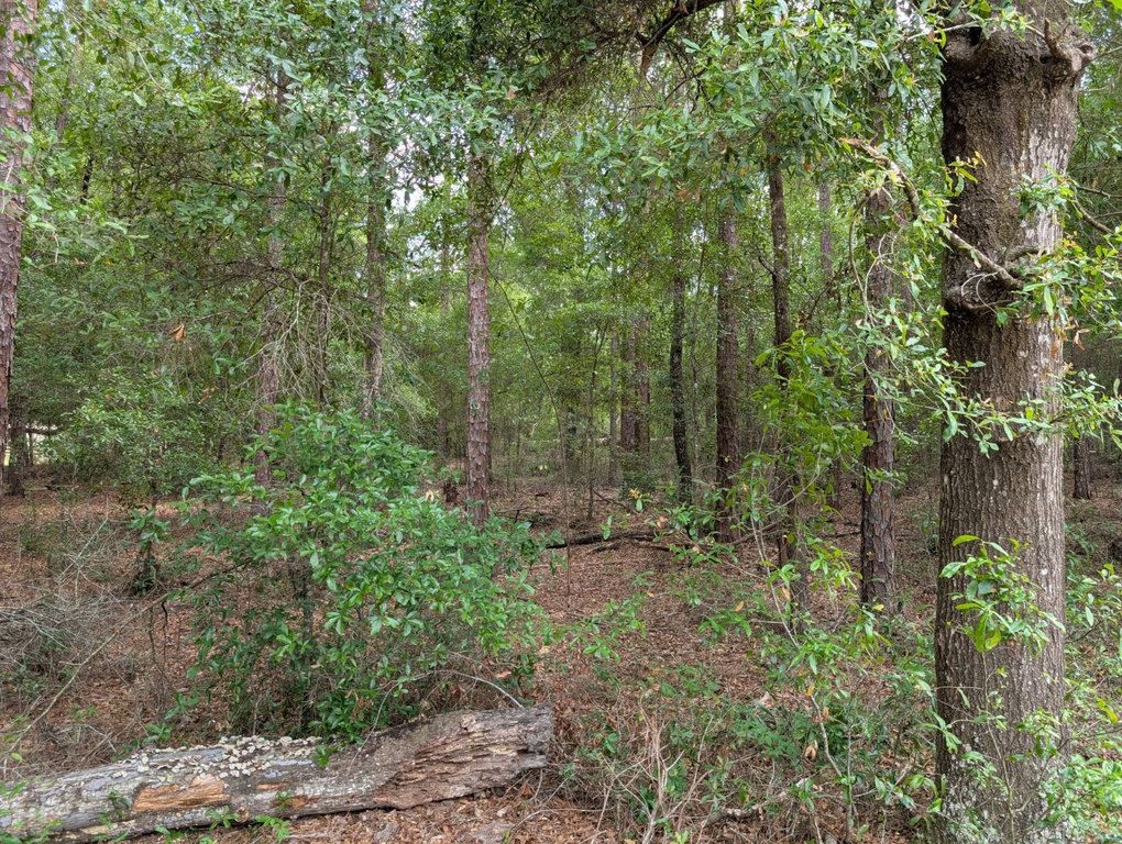 Picture 4