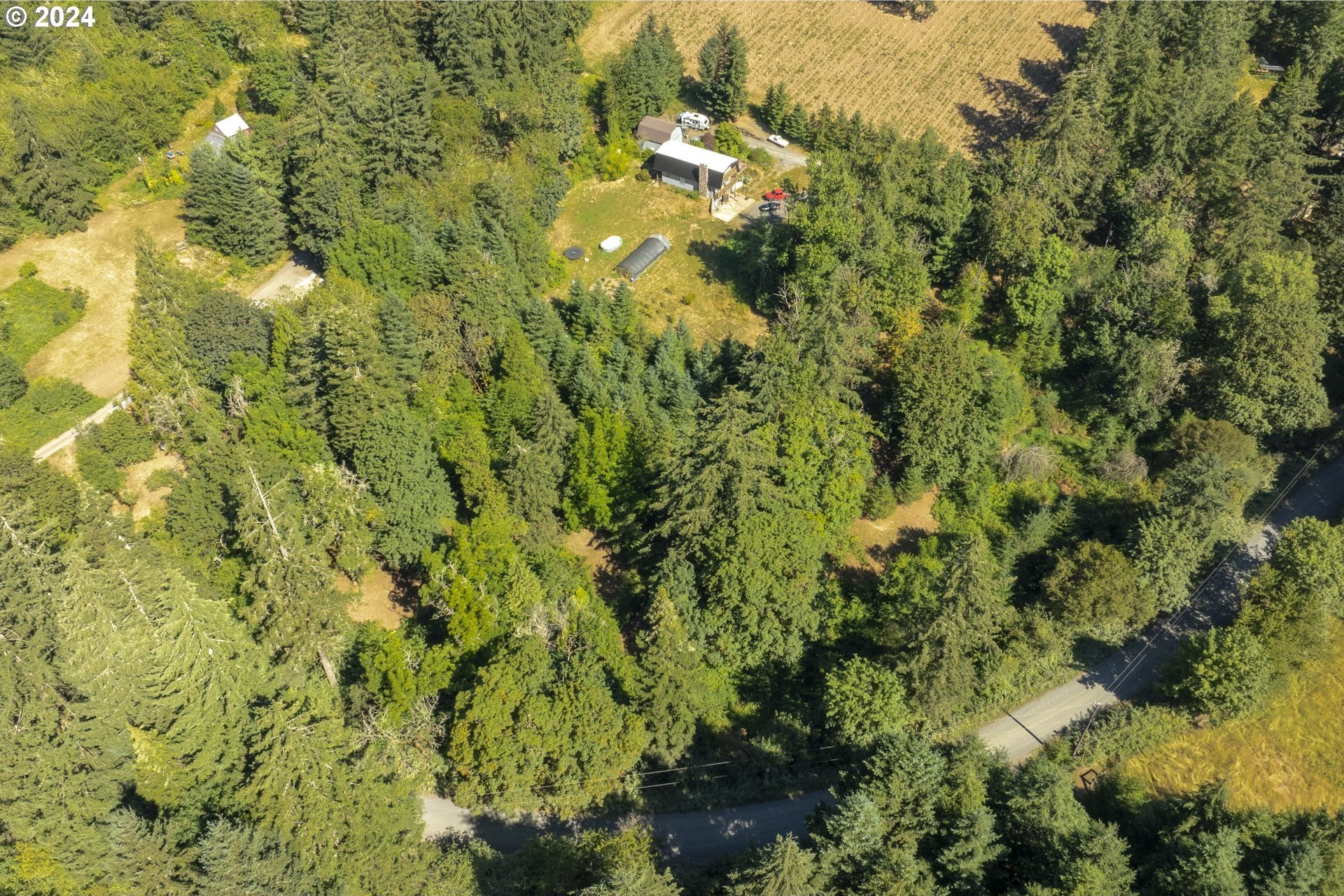 4.2 Acres of Wooded Land