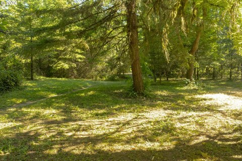 Wooded Creekfront Land