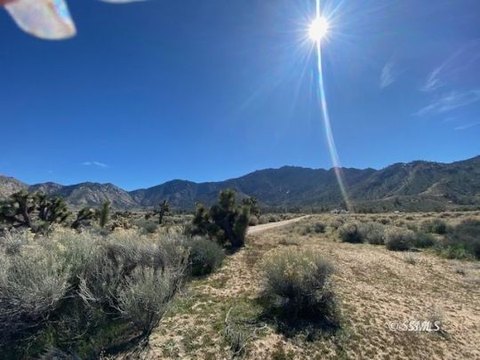 9.98 Acres in Onyx, CA