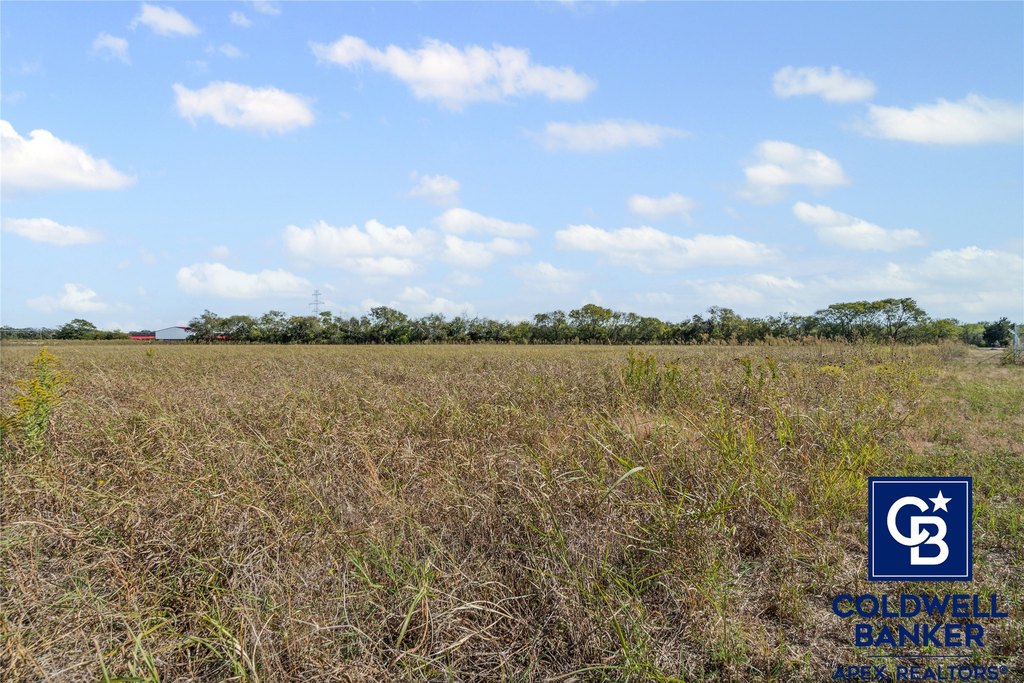 Picture 8