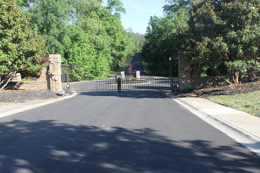Picture 23