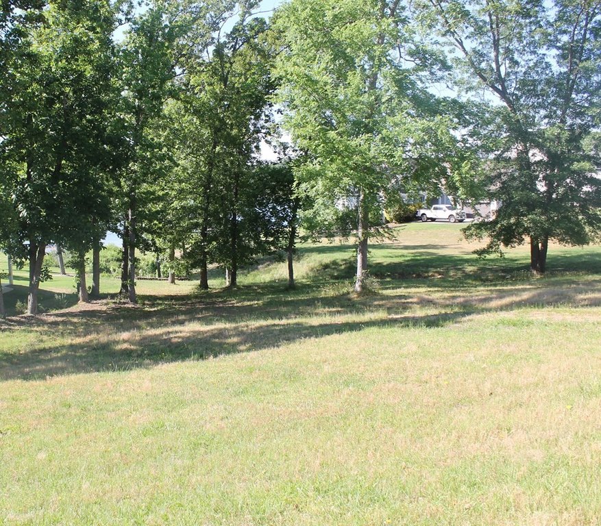 Picture 12