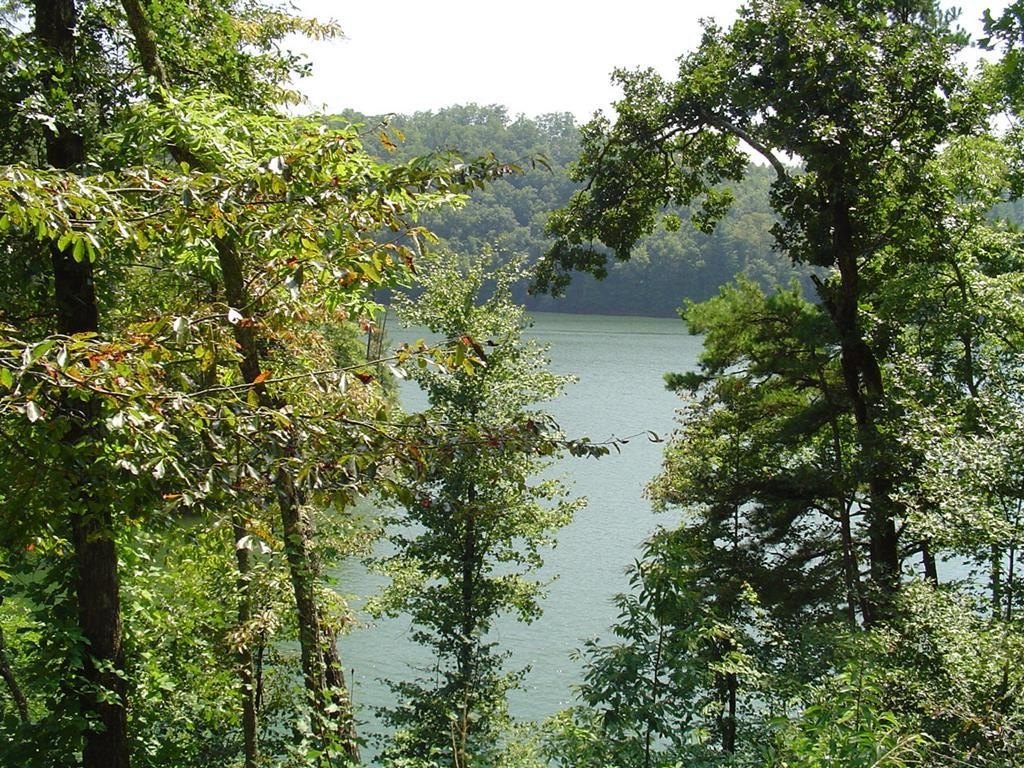 Bryson City Waterfront Land For Sale