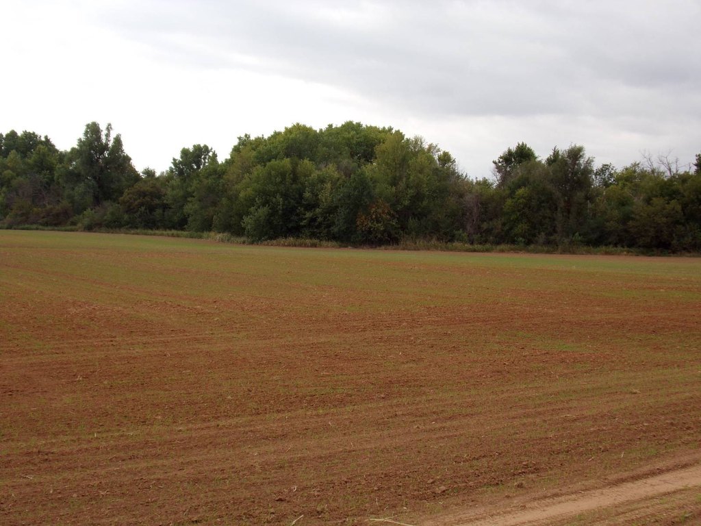 Picture 8