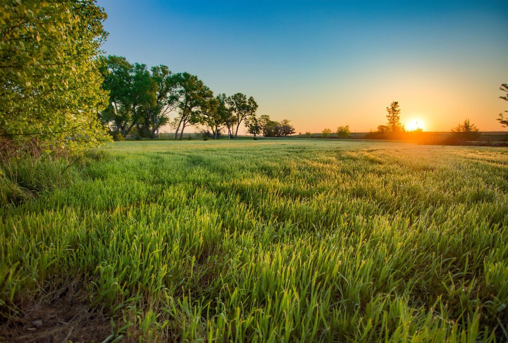Picture 2