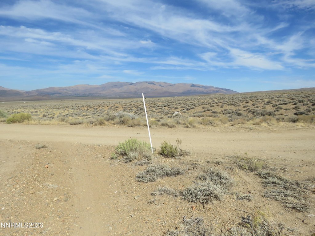 Picture 27