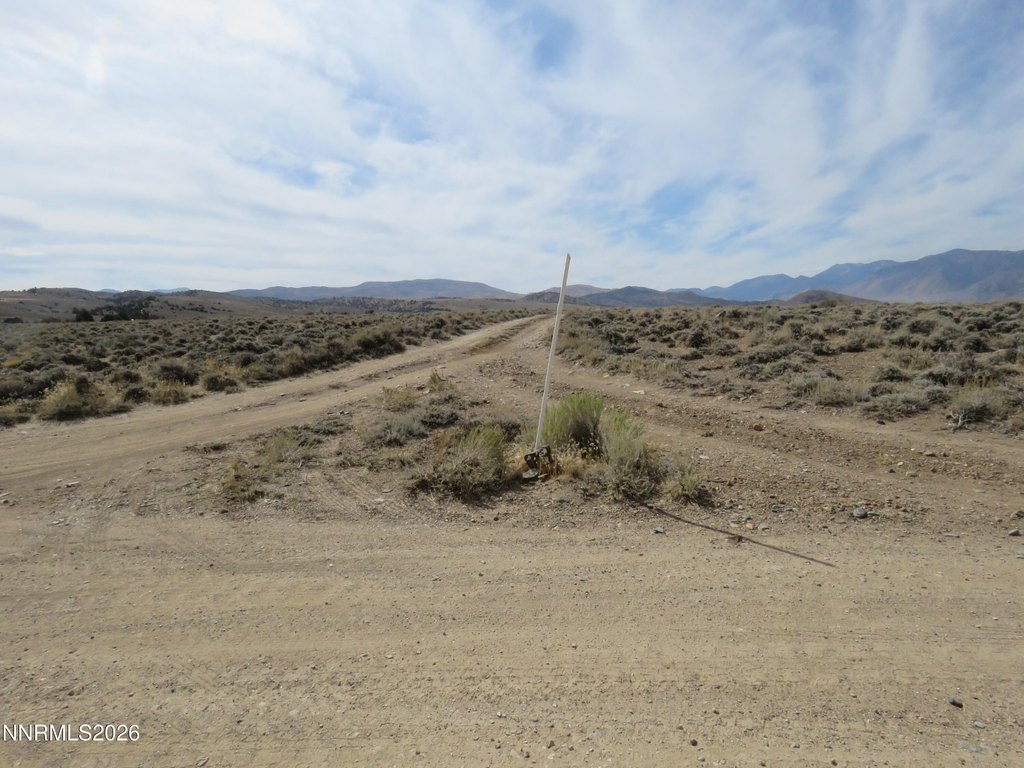 Picture 28