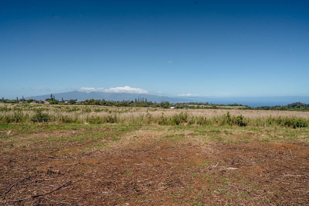 Picture 20