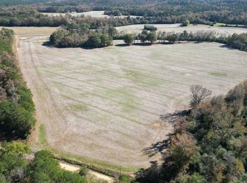 Marion County Land For Sale