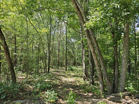 Unrestricted Acreage Near French Broad